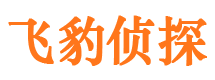 禄丰寻人公司